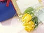 父の日の由来、バラの花や黄色がシンボルの理由